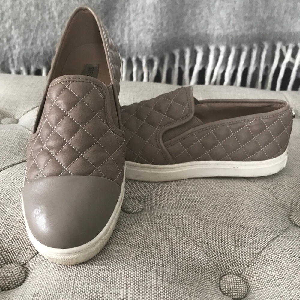 Steve Madden Sneakers